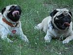     
: P7260098.JPG
: 7
:	109.7 
ID:	4592956