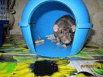     
: IMG_0099.jpg
: 16
:	126.7 
ID:	4594662