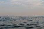     
: IMG_1158.jpg
: 17
:	74.3 
ID:	4597104