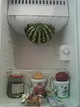    
: IMG0183A.jpg
: 16
:	132.3 
ID:	4598360