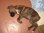     
: img_0010.jpg
: 49
:	127.1 
ID:	459882