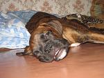     
: img_0008.jpg
: 45
:	127.7 
ID:	459887