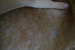     
: DSC07048.jpg
: 47
:	109.9 
ID:	4600581