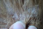     
: DSC07064.JPG
: 32
:	208.9 
ID:	4600584