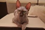     
: DSC_2858_1.jpg
: 3
:	63.7 
ID:	4603067
