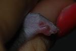     
: DSC_0821.JPG
: 28
:	250.1 
ID:	4603667