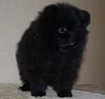     
: DSC_0440.1111.jpg
: 74
:	105.7 
ID:	4610040
