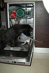     
: DSCN3563.JPG
: 5
:	95.8 
ID:	4610910