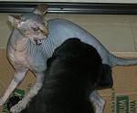     
: DSCN3553.JPG
: 3
:	75.8 
ID:	4610925