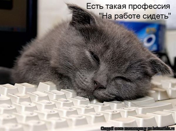     
: pic27033934.jpg
: 2
:	48.3 
ID:	4611439