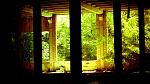    
: GFRANQ_EXLIBRIS_4711952.jpg
: 12
:	158.0 
ID:	4611878