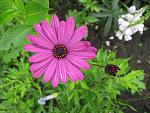     
: IMG_0667.jpg
: 4
:	124.4 
ID:	4613235