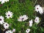     
: IMG_0669.jpg
: 5
:	160.2 
ID:	4613239