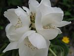     
: IMG_0671.jpg
: 2
:	57.3 
ID:	4613245