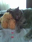     
: Фото0792.jpg
: 9
:	121.9 
ID:	4614427