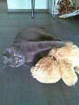     
: Фото0776.jpg
: 9
:	151.1 
ID:	4614428