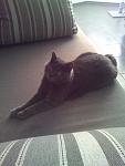     
: Фото0777.jpg
: 8
:	101.4 
ID:	4614429