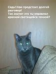     
: Фото0083кк.jpg
: 8
:	91.2 
ID:	4614453