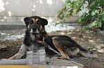     
: IMG_2684-1.jpg
: 5
:	108.7 
ID:	4616569