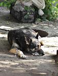     
: IMG_2695-1.jpg
: 4
:	81.2 
ID:	4616572