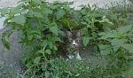     
: 16062012088.jpg
: 11
:	134.7 
ID:	4617788