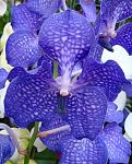     
: 0_2c301_bdf2c875_-2-L.jpeg
: 4
:	69.8 
ID:	4618951