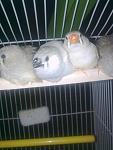     
: Фото0087.jpg
: 7
:	72.1 
ID:	4622017