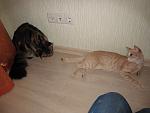     
: IMG_9049.jpg
: 21
:	114.1 
ID:	4622639