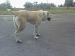     
: DSC00056.JPG
: 8
:	61.7 
ID:	4625812