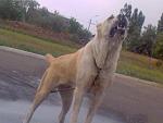     
: DSC00044.JPG
: 6
:	75.3 
ID:	4625870