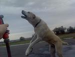     
: DSC00031.JPG
: 4
:	65.1 
ID:	4625873