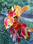     
: IMG10539.jpg
: 12
:	141.6 
ID:	4627214