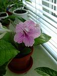     
: DSCF4830.jpg
: 32
:	111.3 
ID:	462823