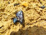     
: IMG_6398.jpg
: 90
:	266.0 
ID:	4629924