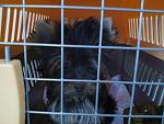     
: Фото0254.jpg
: 11
:	131.5 
ID:	4631700