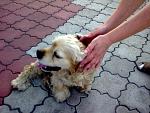     
: 05082012605.jpg
: 23
:	131.9 
ID:	4631763