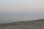     
: IMG_1403.jpg
: 15
:	67.6 
ID:	4633414