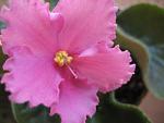     
: IMG_0629.jpg
: 4
:	80.5 
ID:	4633487