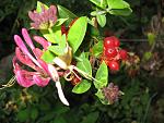     
: IMG_0712.jpg
: 4
:	128.5 
ID:	4633531