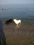     
: Фото0099.jpg
: 12
:	105.4 
ID:	4633845