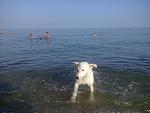     
: Фото0102.jpg
: 11
:	134.1 
ID:	4633847