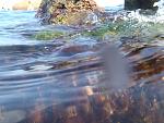     
: P8050006.jpg
: 22
:	128.9 
ID:	4635644