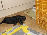     
: DSC02492.JPG
: 10
:	153.4 
ID:	4635876
