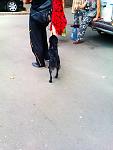     
: IMAG0260.jpg
: 26
:	100.9 
ID:	4637061