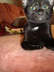     
: DSC03662.jpg
: 3
:	104.5 
ID:	4637470