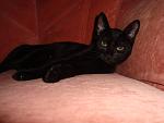     
: DSC03648.jpg
: 5
:	87.5 
ID:	4637471
