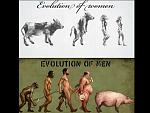     
: evolution.jpg
: 19
:	49.7 
ID:	4638226