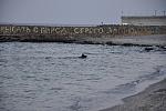     
: _DSC0027.jpg
: 21
:	123.9 
ID:	4641479