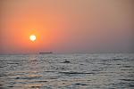     
: _DSC0063.jpg
: 17
:	97.6 
ID:	4641480
