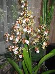     
: IMG_6264.jpg
: 6
:	140.2 
ID:	4644218